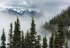USA-Washington State-Olympic National Park Art Print